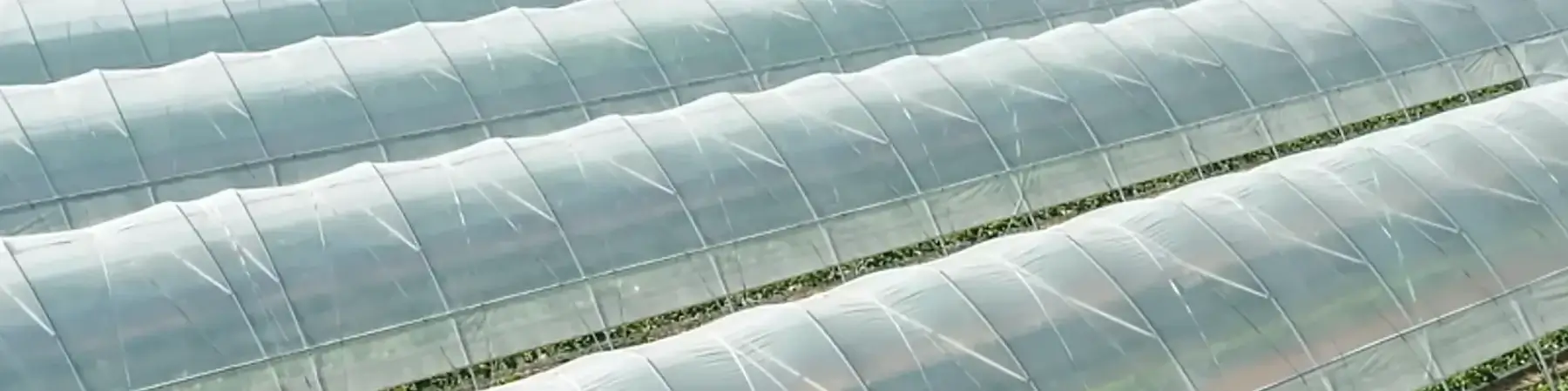 Plásticos para el Agro