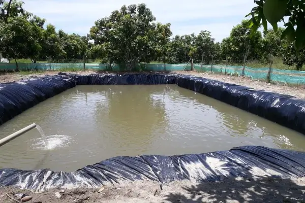 Plástico poliembalse, ideal para reservorios de riego y estanques piscícolas