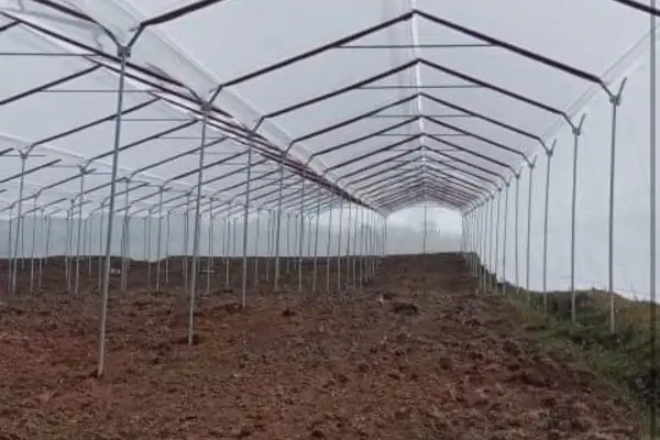 Tela Prosolar para Invernadero