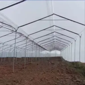 Plástico para Invernadero